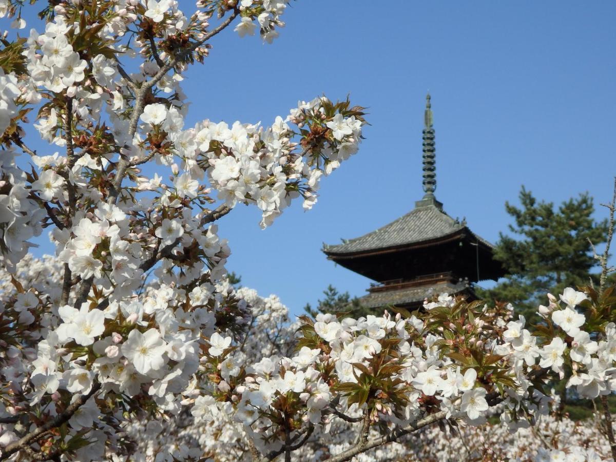 Stay Sakura Kyoto Tsubaki Εξωτερικό φωτογραφία